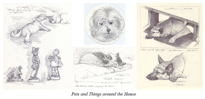 Pets & Things 96
